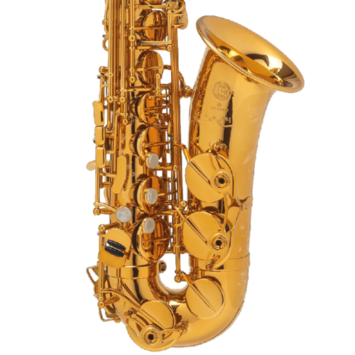 Saxo Alto Selmer Supreme Goldmessing