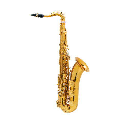 Saxo Tenor Selmer Supreme Goldmessing