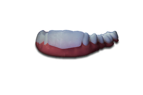 Protector Dental Omniguard Silverstein Doble 0G01D