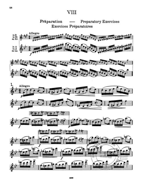 STARK, ROBERT.- EL ARTE DE LA TRANSPOSICIN OP.29/2 SAMPLE 3