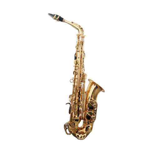 Saxo Alto Boehm Study Lacado